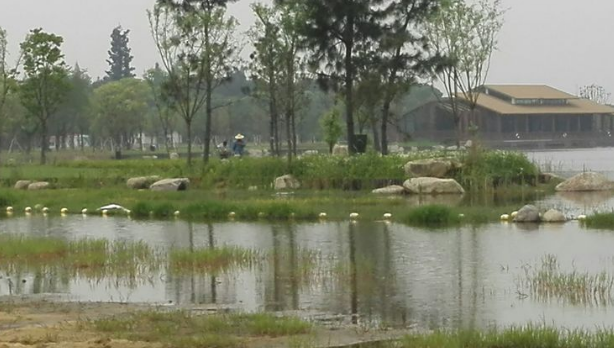 勝地公園 吳江最大的生態(tài)園——吳江5日生態(tài)游記
