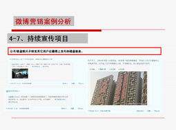 2010年微博營銷案例分析 紅人營銷與網站運營的協同探索